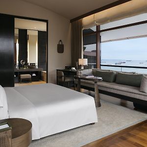 Kamar king premium